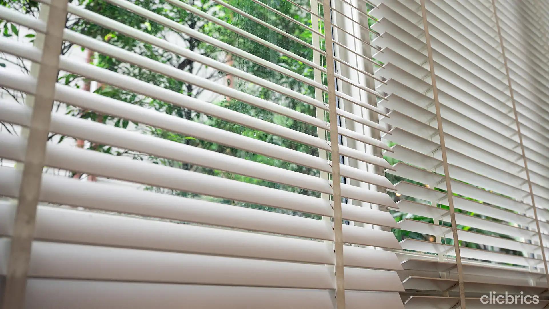 different types of blinds